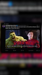 Hulk dans Spider-Man 4 ? Découvrez ce que cela pourrait signifier !