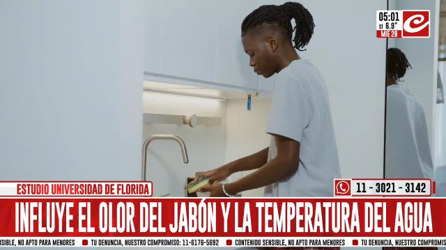 Aseguran que lavar los platos calma los nervios y ayuda a reducir el estrés
