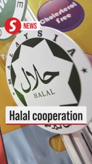 Asean, GCC, China keen to cooperate with Malaysia in halal industry, says Zafrul