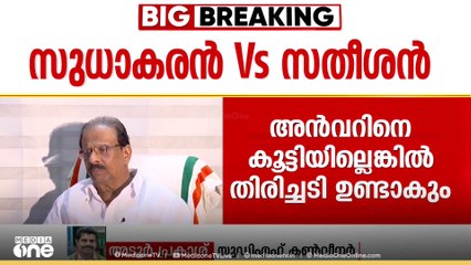 'കോൺ‍​ഗ്രസ് രണ്ട് വഴിയിലേക്ക് പോകുന്നെന്ന് പറയാൻ കഴിയില്ല... ആലോചിച്ച് ഒരു തീരുമാനമെടുക്കും'