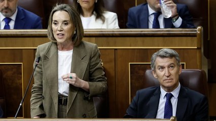 El PP tacha al Gobierno de "mafia" con "sede en Sicilia"