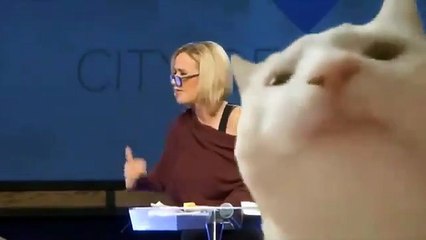 Paul's handsomeness highlighted in a short story aiming for youtube