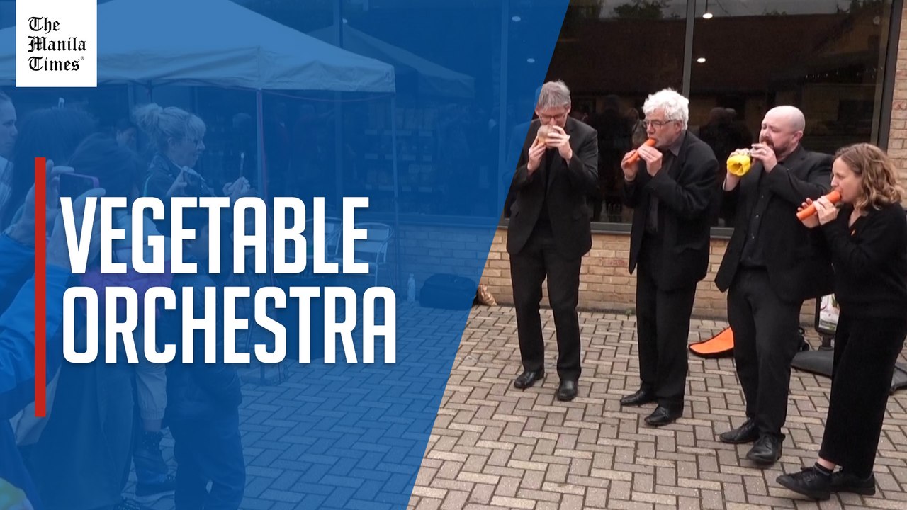 Mozart in C: Vegetable orchestra plays classic songs on carrots and courgettes