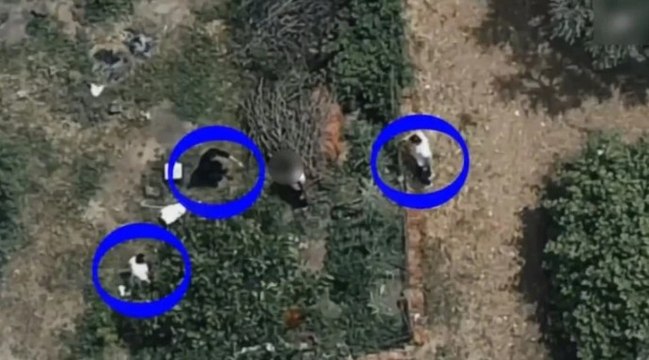 Firari hükümlü dron destekli operasyonla yakalandı