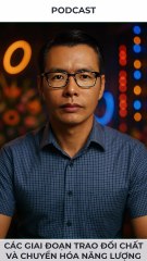 Podcast - Trao đổi chất và chuyển hóa năng lượng ở sinh vật