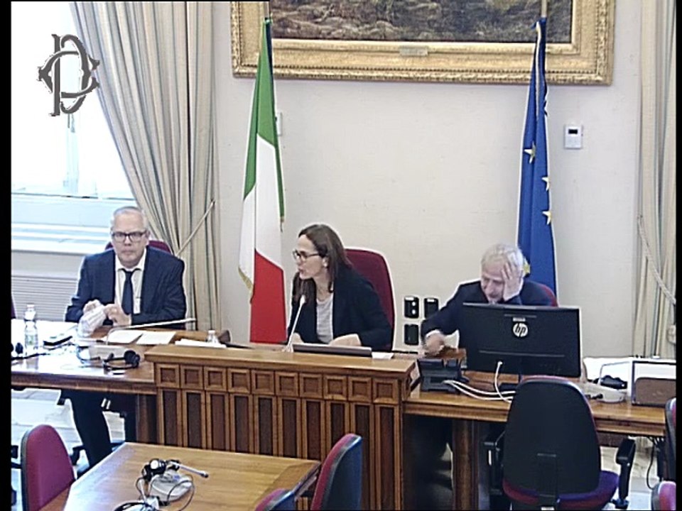 Roma - Indagine conoscitiva dinamiche geopolitiche regione dell'Artico - Audizione Ambasciatore Repubblica di Finlandiai (28.05.25)
