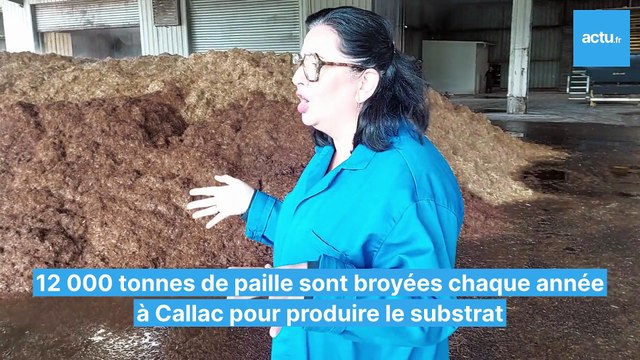 A Callac (Côtes-d'Armor), l'entreprise Eurosubstrat fête ses 30 ans et organise des portes ouvertes
