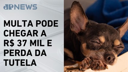 Deputados aprovam multa a quem acorrentar cães e gatos de forma inadequada em SP