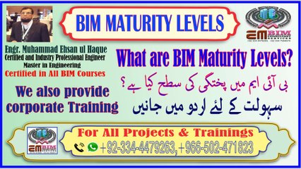 BIM Maturity Levels