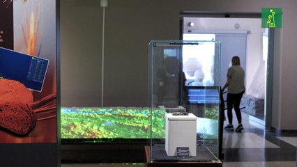 Turquía descubre y replica un pan de 5,000 años de antigüedad