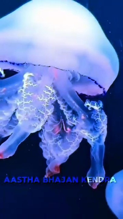 Radha Krishna Chant | Divine Mantra Meditation | Radha Radha Krishna Krishna