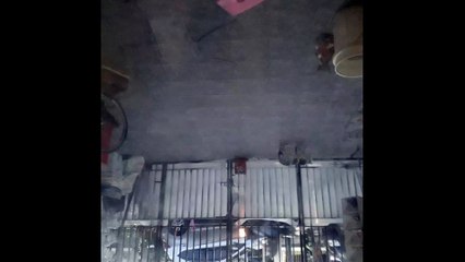 Liat Kucing Gak Kenal Lapar Ingat Diluar • 21 Desember 2017 Pukul 17:51:09 WIB