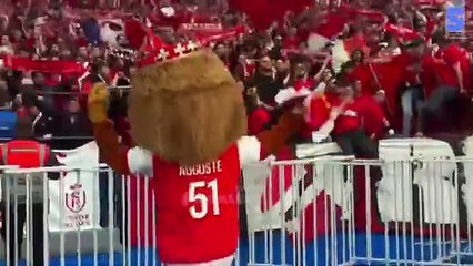 Here’s a compelling title, description, and hashtags for your Paris Saint-Germain vs. Reims Coupe de France Final 2024-25 Highlights video: Title: "Paris Saint-Germain vs. Reims | Coupe de France Final 2024-25 | 3-0 Highlights"