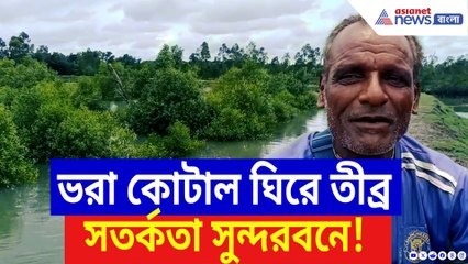 দুর্যোগের মুখে সুন্দরবন! ঝোড়ো হাওয়া-বৃষ্টিতে ঘোর বিপদ, প্রশাসনের জরুরি সতর্কবার্তা