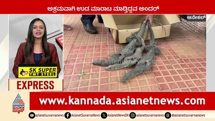 ಅಕ್ರಮವಾಗಿ ಉಡ ಮಾರಾಟ ಮಾಡ್ತಿದ್ದವ ಅರೆಸ್ಟ್ | Karnataka News Express | Suvarna News