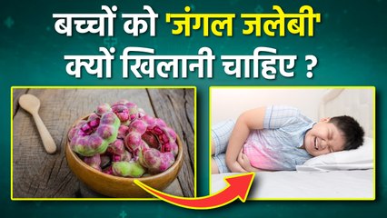 Health Benefits Of Jungle Jalebi: बच्चों को 'जंगल जलेबी' खिलाने से क्या होता है,कैसे खिलाएं ..
