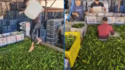 Ayaklarıyla salata yıkadığı görüntüler tepki çekmişti: Bakanlık harekete geçti!