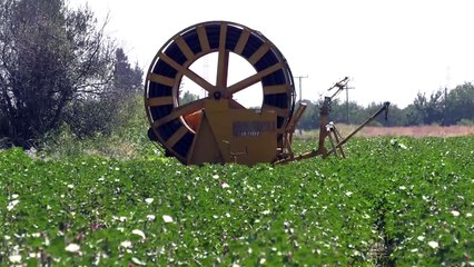 ΟΠΕΚΕΠΕ: Τι σχολιάζουν οι αγρότες για την κατάργηση του οργανισμού και το σκάνδαλο