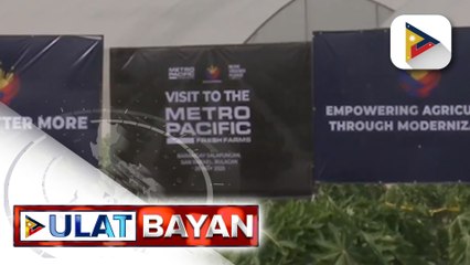 Pinakamalaking greenhouse facility sa bansa, binisita ni PBBM