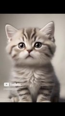 _She’s not mad… she’s just vocally disappointed_😹🤣