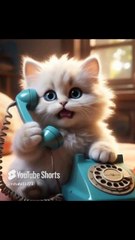 What Happens When A Kitten Gets A Phone_☎️📞