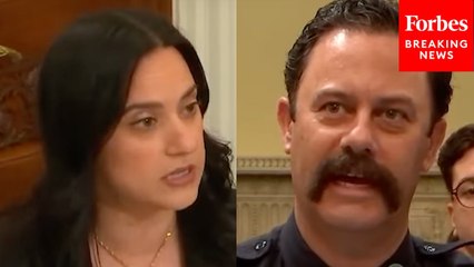 Yassamin Ansari Slams DOGE For Wildfire Management Cuts, Asks Fire Chief About Impact Of Funding Freezes