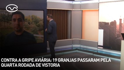 Contra a gripe aviária: 19 granjas passaram pela quarta rodada de vistoria