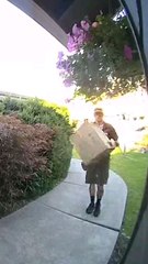 اضحك مع الحيونات ضد طلبات التوصيل