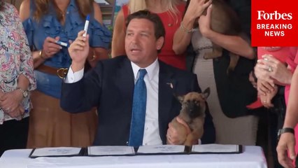 Florida Gov. Ron DeSantis Signs New Law To Crack Down On Abuse Of Dogs