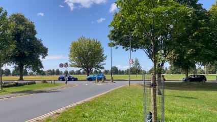Bristol Downs: How locals are helping to keep it alive!