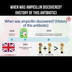 When was ampicillin discovered? (History of this antibiotic)