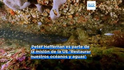 El experto Peter Heffernan critica la idea de Trump de explotar la minería submarina: "Ese impacto no quedaría aislado en un solo lugar"