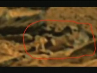 Are Mars Tiny Humans in peril from Mars Rover Crushing