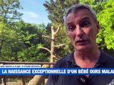 Un nouvel espace d'auto-rééducation voit le jour à Champdieu / Le festival les Mont de la Balle organise sa 30e édition / Une journée d'information sur le service civique organisée à la Comète / Des lycéens mènent un procès fictif - Le JT - TL7, Télévision loire 7