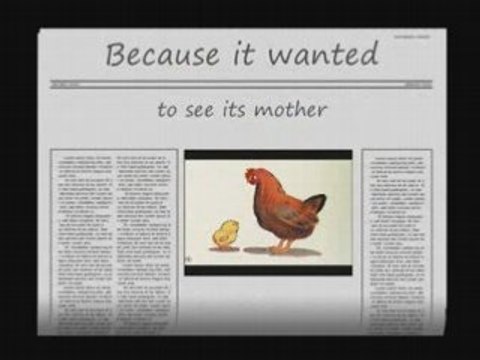 Mothers' Day: Why did the chicken cross the road?