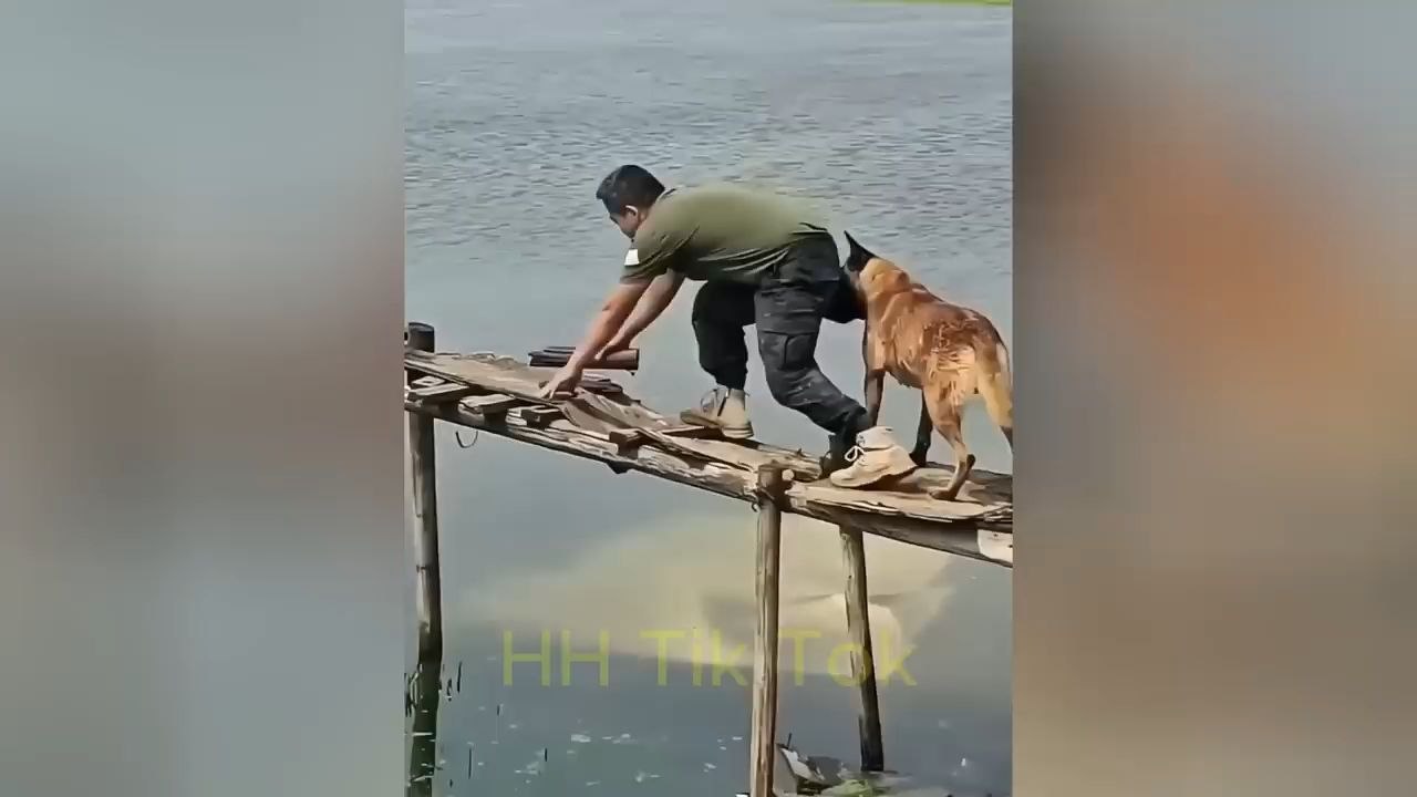 just funn