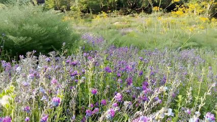 #BeautyOfNature Reshun