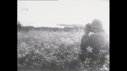 Tribuna de la Historia - La batalla de Stalingrado