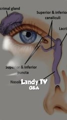 hans lo thora 🤣🤣🤣