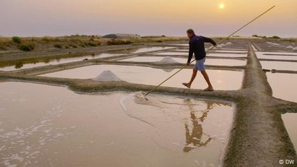 Oro blanco: la tradicional sal marina francesa