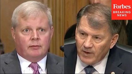 Mike Rounds Asks Witness About China Purchasing Agricultural Land Near Sensitive Military Sites