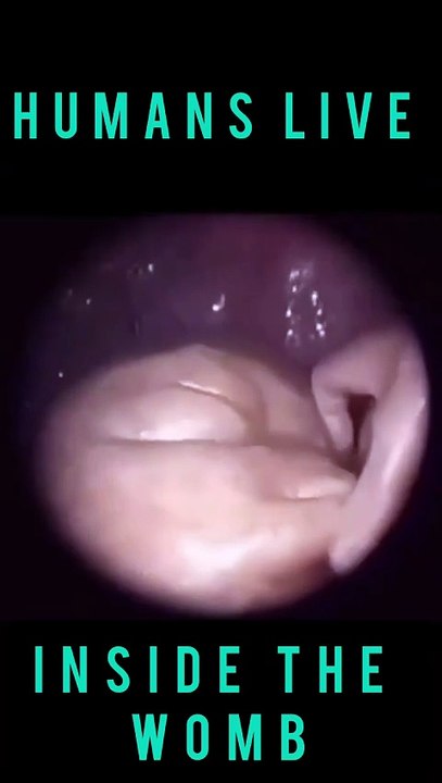 Saleemoffical presentation - Humans live inside the womb humans