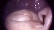 Saleemoffical presentation - Humans live inside the womb humans