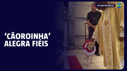 ‘CÃOroinha’ em igreja mineira faz sucesso nas redes sociais