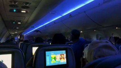 Vuelo de Delta retrasado porque dos palomas se colaron en un avión en Minneapolis