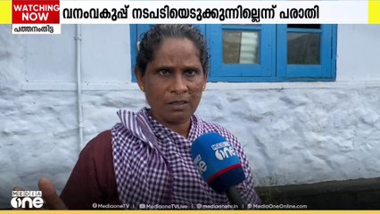 പത്തനംതിട്ട കോന്നി കല്ലേലിയിൽ കാട്ടാനശല്യം രൂക്ഷമാകുന്നു