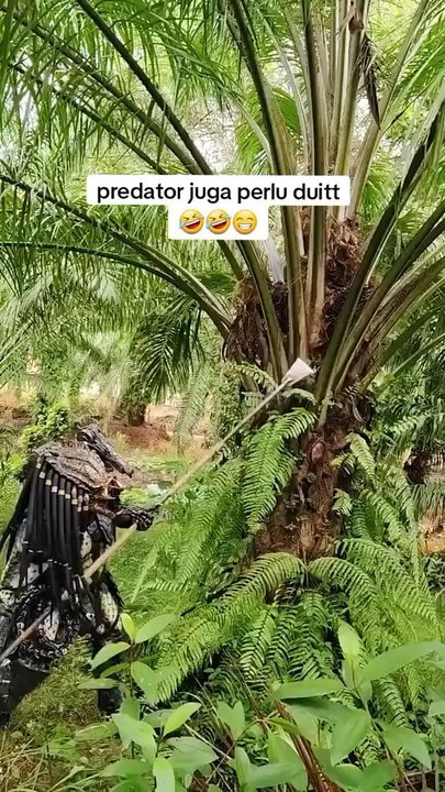 Predator agak lain guys