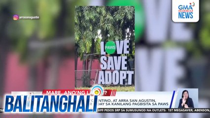 Andrea Torres, Thea Tolentino, at Arra San Agustin, naging volunteer for a day sa kanilang pagbisita sa PAWS | Balitanghali