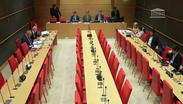 Freins à la réindustrialisation de la France : M. Stéphane Bianchi, directeur général du groupe LVMH, M. Marc-Antoine Jamet, secrétaire général, et Mme Cécile Cabanis, directrice financière - Mercredi 28 mai 2025