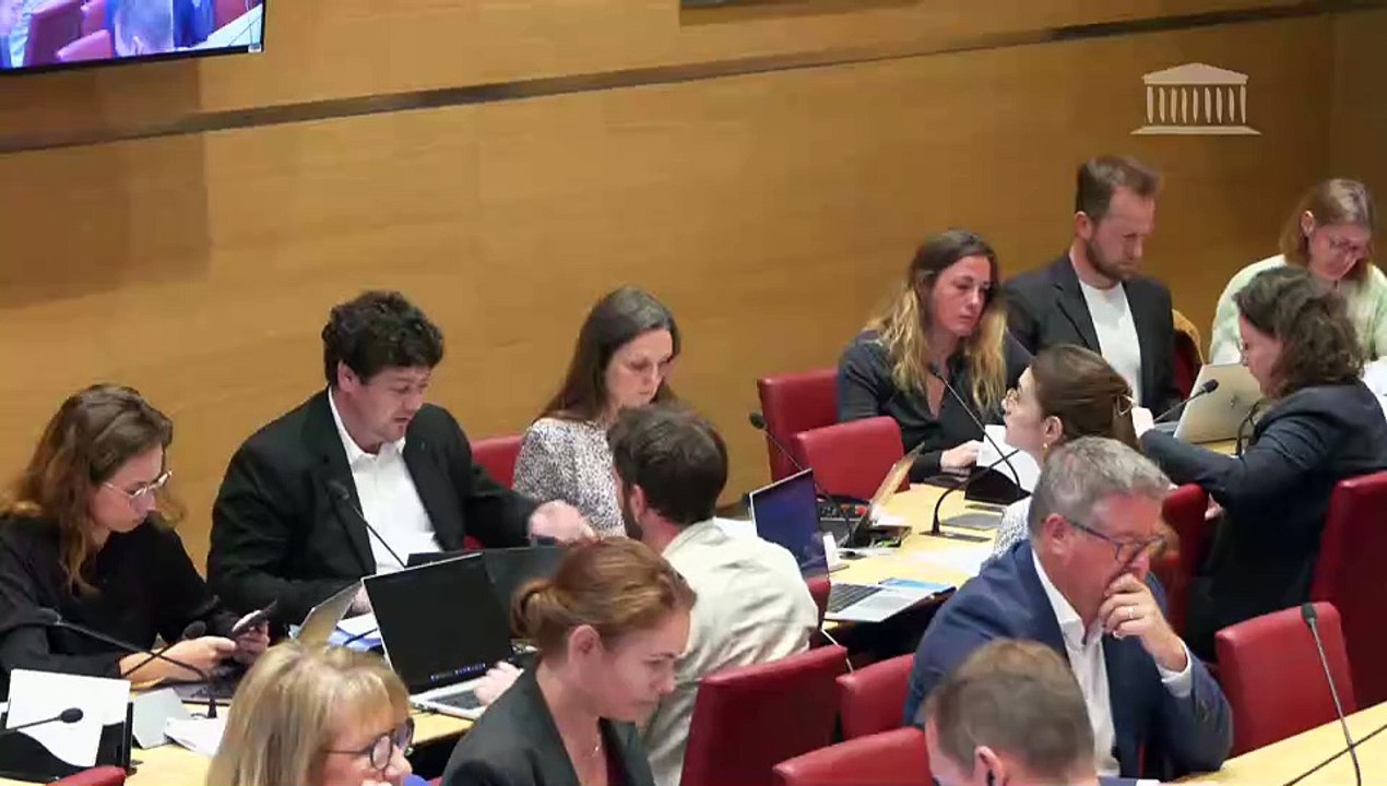 Commission du développement durable : Programmation nationale et simplification normative dans le secteur économique de l’énergie - Mercredi 28 mai 2025